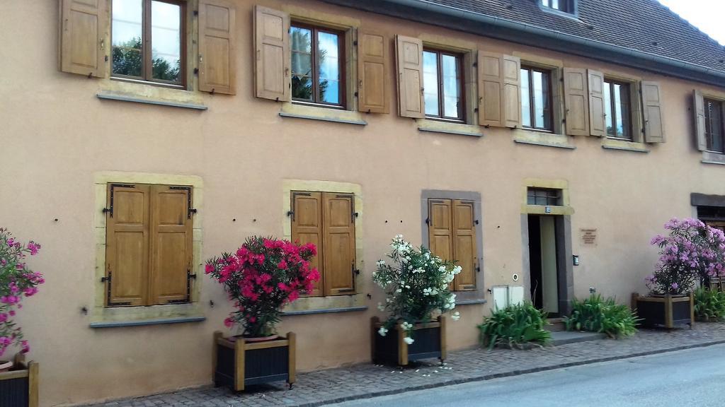 Notre Dame Apartment Rouffach